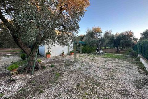 Ruinere i Ostuni, Brindisi, Ostuni - € 79.000 | Ref: Lamia Degli Uli - foto 5